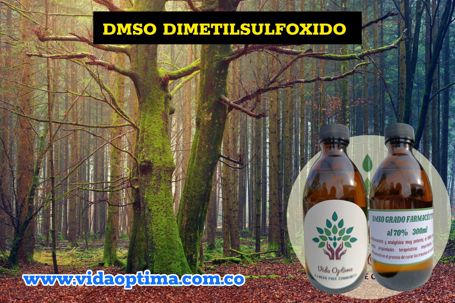 WhatsApp Image 2023-09-08 at 12.13.05 AM