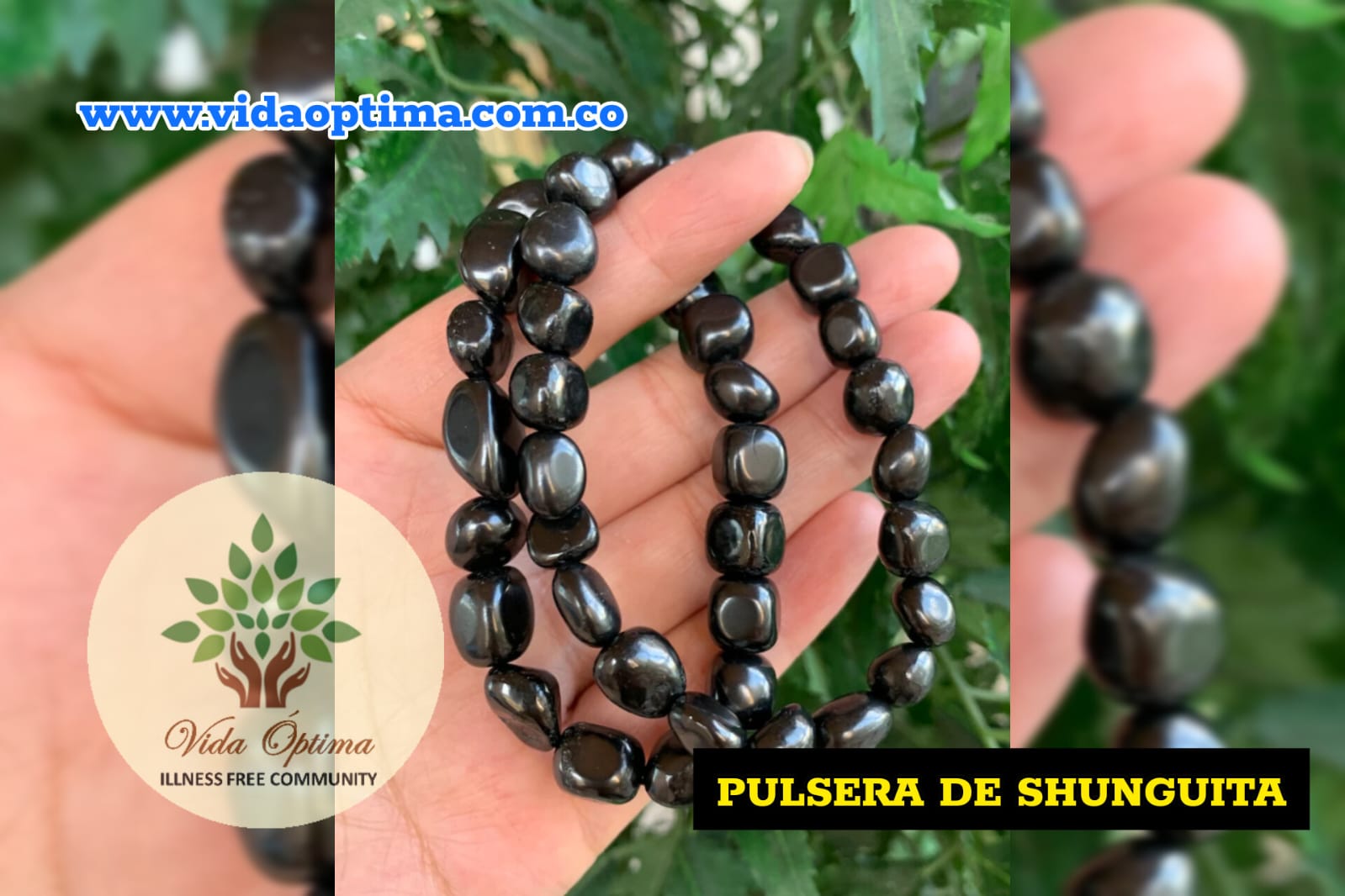 WhatsApp Image 2023-09-08 at 8.17.42 PM