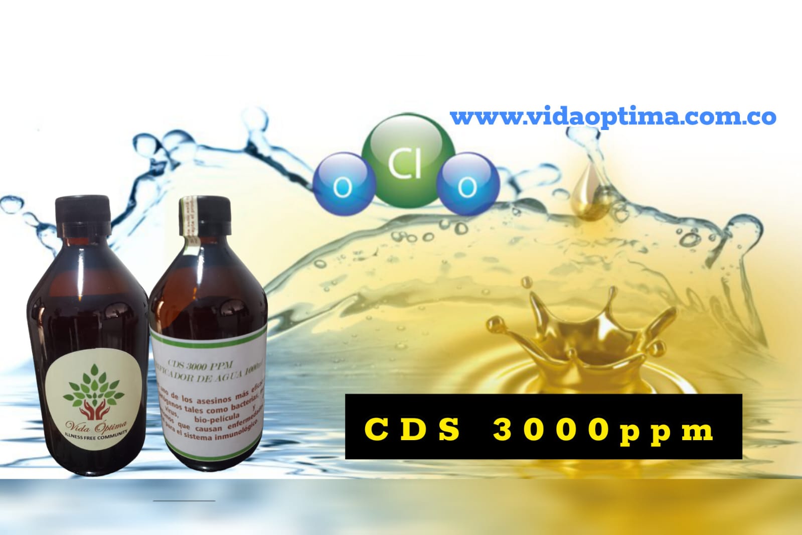 WhatsApp Image 2023-09-13 at 6.56.57 PM