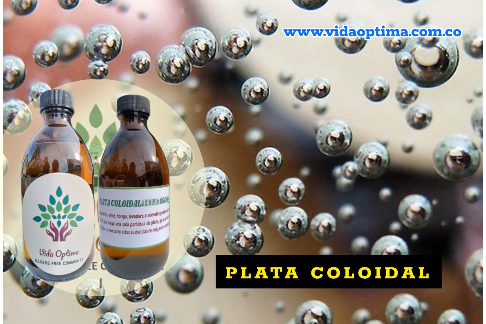 WhatsApp Image 2023-09-13 at 6.56.58 PM