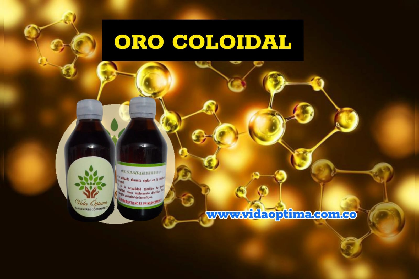 WhatsApp Image 2023-09-13 at 7.08.33 PM